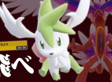 【せいちょう型】シェイミよ、コライドンと共に飛べ！！【ポケモンSV】