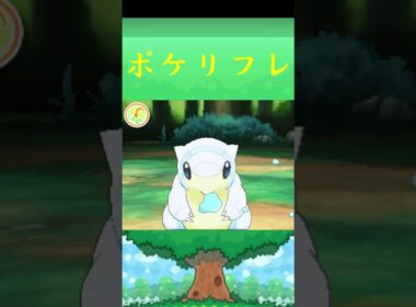 サンド(アローラのすがた)ポケモン ポケリフレ ポケパルレ#ポケモン #Pokemon  #3DS #nintendoswitch #ポケモンsv #ポケモン #キャンプ #サンドイッチ #ピクニック