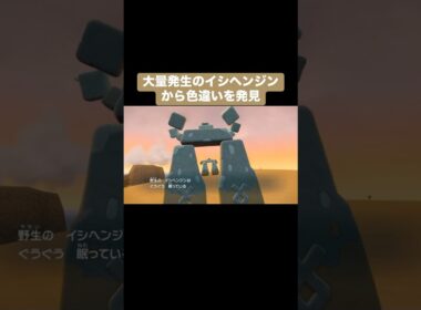 大量発生のイシヘンジンから色違いを発見