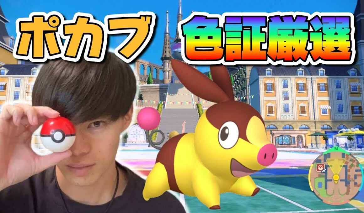 ずっと「ポカブー」だと思ってたww【ポケモンSV】