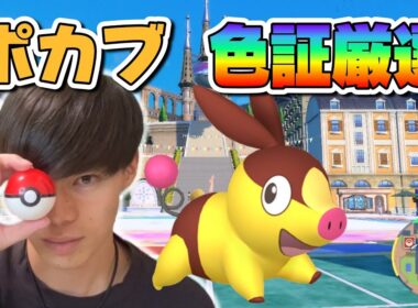 ずっと「ポカブー」だと思ってたww【ポケモンSV】