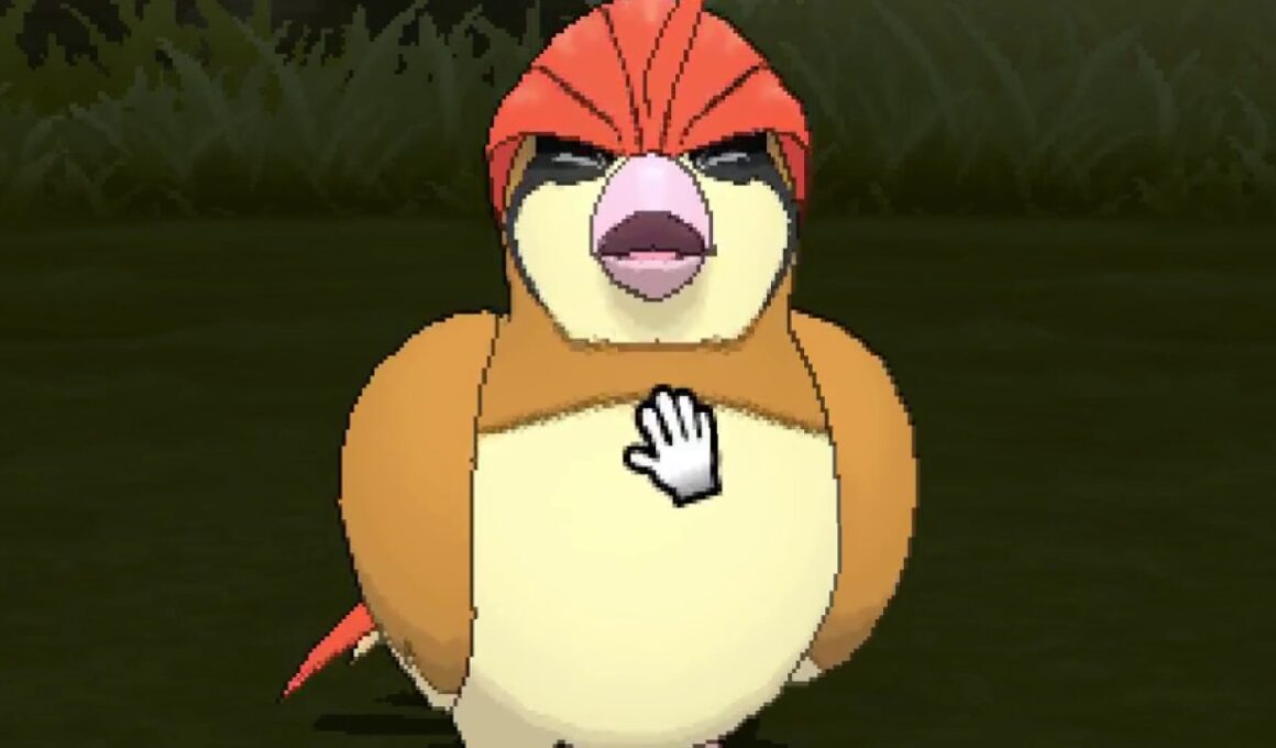 ポケリフレ　ピジョンと戯れるだけの動画