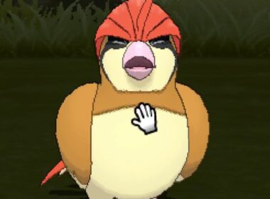 ポケリフレ　ピジョンと戯れるだけの動画