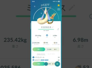 色違い　ヒンバスからミロカロスに進化　ポケモンGO