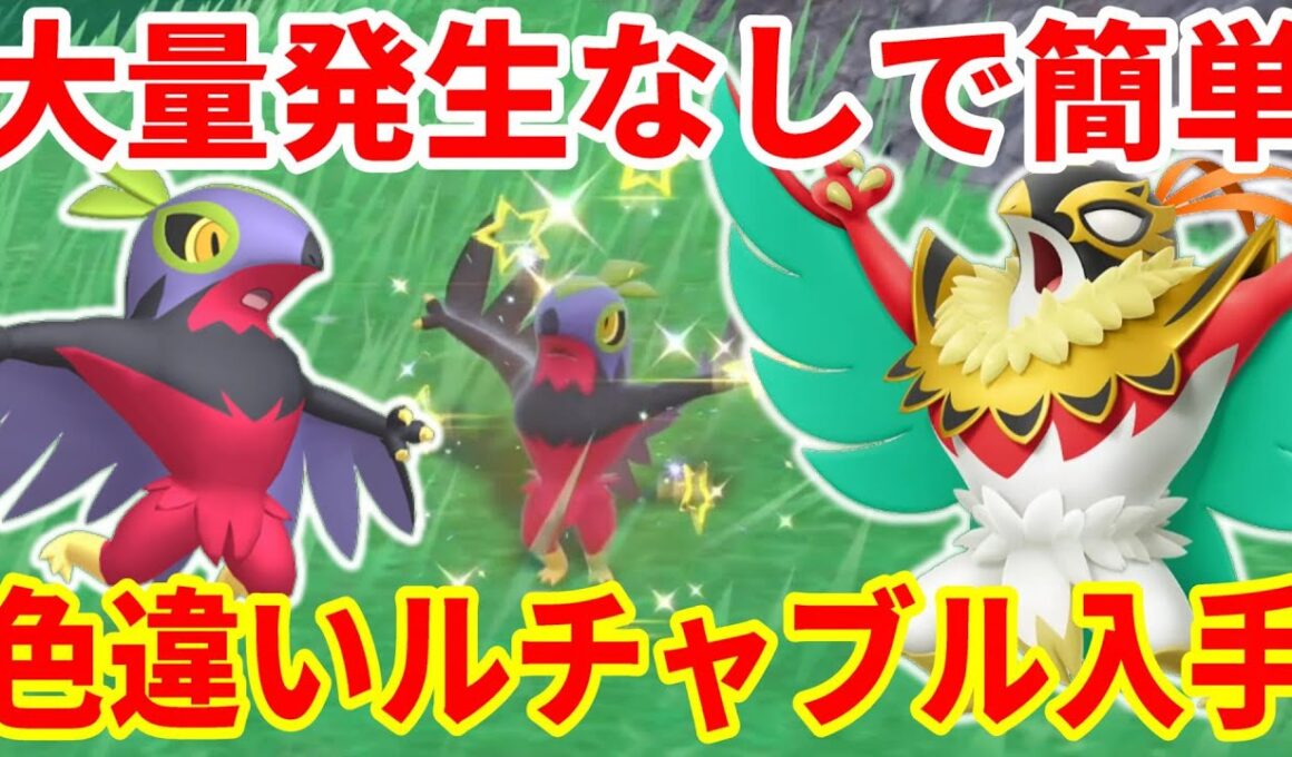 【ポケモンSV】誰でも簡単！色違いルチャブルの厳選入手方法まとめ！ポケモンレジェンズZAでメガルチャブル準備！【ポケモンスカーレットバイオレット・ゼロの秘宝】
