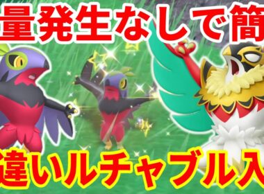 【ポケモンSV】誰でも簡単！色違いルチャブルの厳選入手方法まとめ！ポケモンレジェンズZAでメガルチャブル準備！【ポケモンスカーレットバイオレット・ゼロの秘宝】