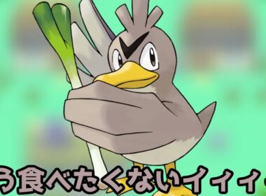 食用に連れてこられたカモネギ #ポケモン