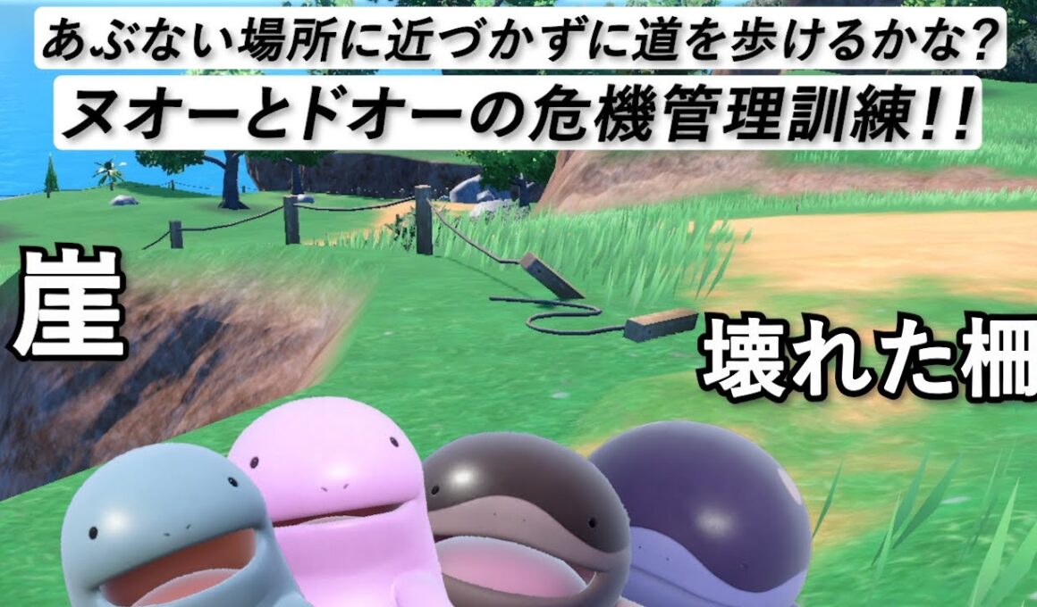 危ない所に行かないで！ヌオーとドオーの危機管理訓練！【ポケモンSV】