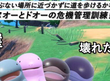 危ない所に行かないで！ヌオーとドオーの危機管理訓練！【ポケモンSV】