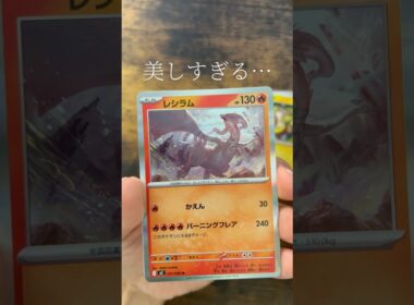 【ポケカ】238・239パック目　インフェルノX #ポケモンカード #ポケカ #レシラム