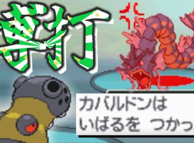 飛行打点なしカバルドン”渾身のいばる”【金ネジキ戦】