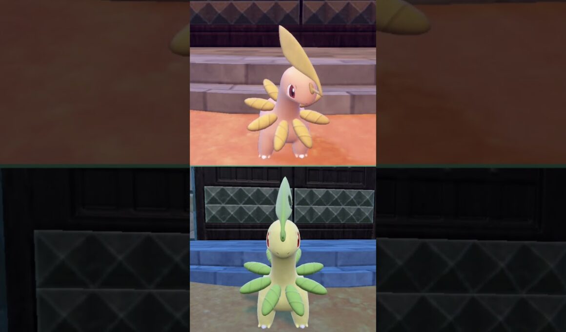 #ベイリーフ  #ポケモン  #bayleef  #pokemonscarletandviolet