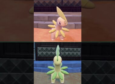 #ベイリーフ  #ポケモン  #bayleef  #pokemonscarletandviolet