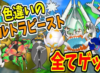 USUMでウルトラビーストの色違いを全て手に入れようとしたら...【ポケモン/ポケットモンスター/ウルトラサンムーン/アクジキング/マッシブーン/ベベノム/アーゴヨン/タイプヌル/シルヴァディ】