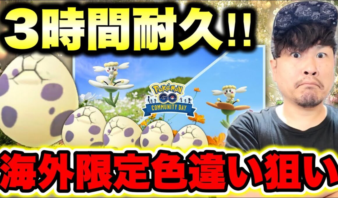 白もオレンジも色違い出しまくり！フラべべコミュデイ生配信！今週はたまご割り大事よ！！！