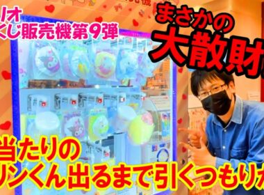 【サンリオ当りくじ】ついに最推しプリンくんぬいぐるみが補充されたので出るまで引き続ける！想定外の展開に言葉を失いました。。【販売機9弾/一番くじ/ピューロランド】