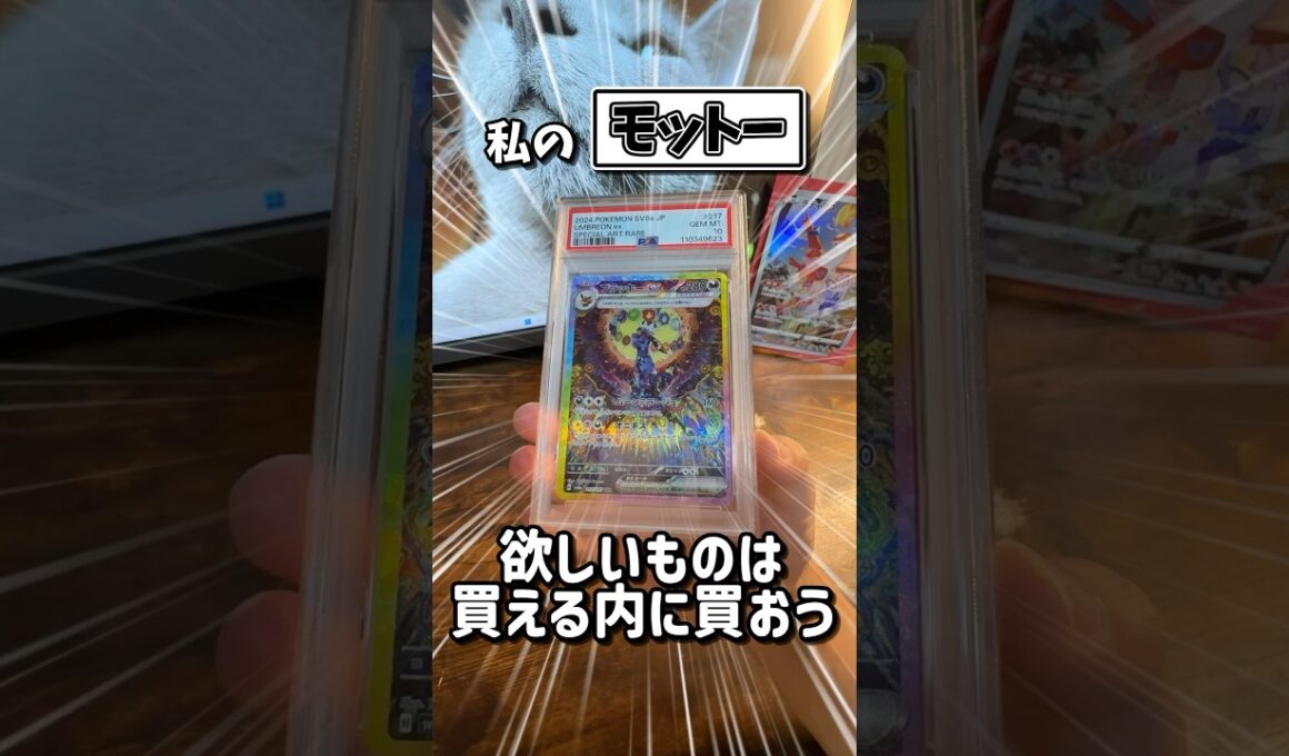 【1分開封】欲しいと思った今が『買い時』ですよっ！ #ポケカ #テラスタルフェスex #ブラッキー