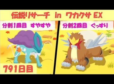ポケスリ睡眠記録 2025/9/17(791日目)  ライコウ・エンテイ・スイクンリサーチ in ワカクサ本島 EX(10日目)【ポケモンスリープ】