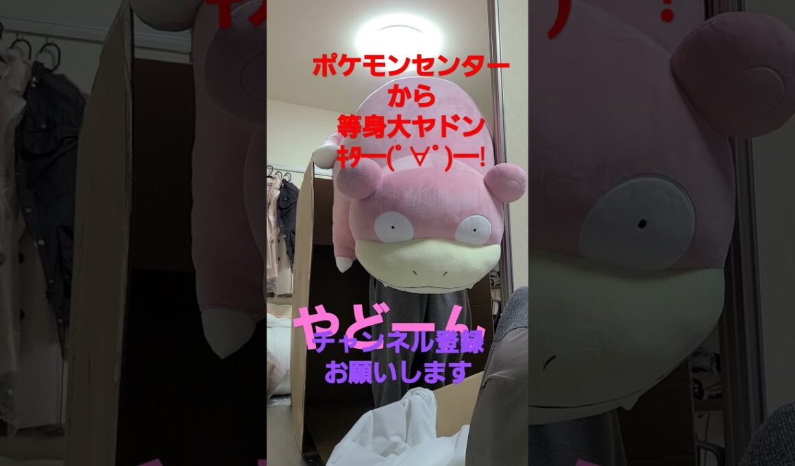 等身大ヤドン開封の儀