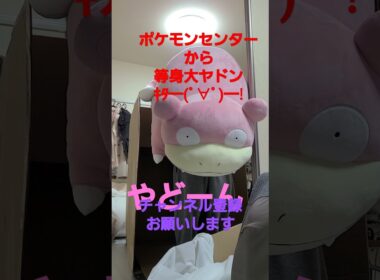 等身大ヤドン開封の儀