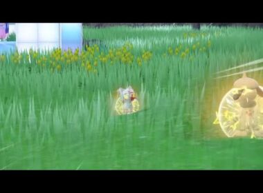 フォッコ出ないから代わりに出てきたニャビーひとしら狙うかな【ポケモンSV】