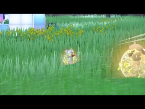 フォッコ出ないから代わりに出てきたニャビーひとしら狙うかな【ポケモンSV】