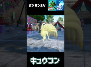 ロコン　進化　キュウコン　ポケモンSV みどりの仮面　#pokemon