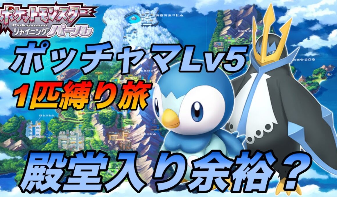 #5 ポッチャマLv５から1匹縛り旅は殿堂入り余裕？【ポケモンパール】