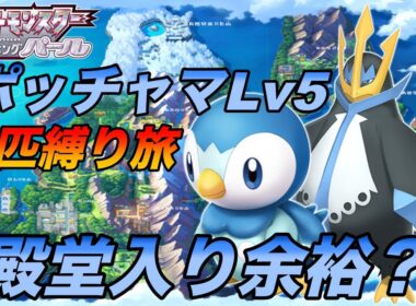#5 ポッチャマLv５から1匹縛り旅は殿堂入り余裕？【ポケモンパール】