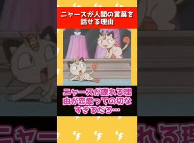 ニャースが人間の言葉を話せる理由が悲惨すぎた… #ポケモン  #アニポケ