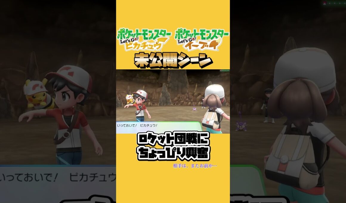 コラッタダイスキキキキ【レッツゴーピカチュウ】