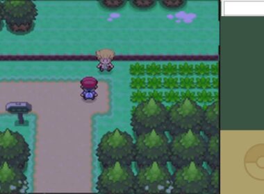 色違いヒコザルを厳選するぞ！1750回~