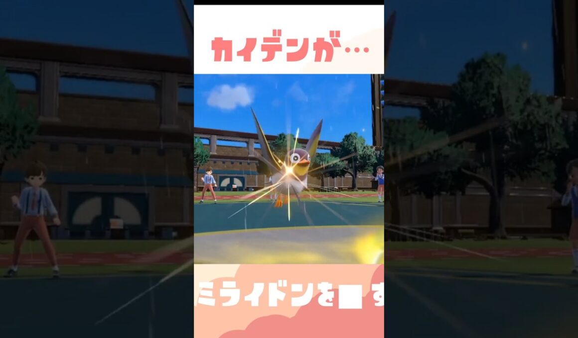 カイデンは伝説環境でもやれます。カイオーガと組ませた対ミライドン特化型【過去動画ショート】 #ポケモン #ポケモンsv #スカバイ