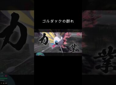 怒りのゴルダック【ポケモン レジェンズ アルセウス】#ポケモン #レジェンズ #ゲーム実況
