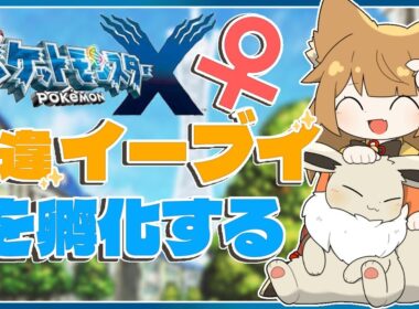 【ポケモンX】色違ちがいイーブイの女の子を探しています。生まれてきてください。【ポケモン】#ポケモンxy