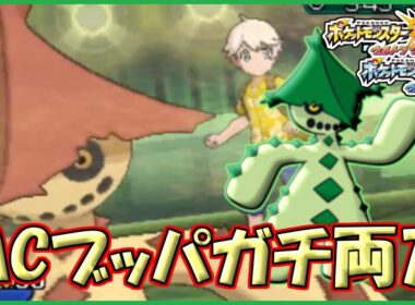 【ポケモン】ノクタスううううううううう！！！！【ウルトラサン・ウルトラムーン/ポケモンUSUM】