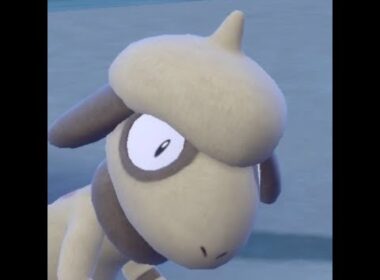 トウカフェスタプレ（レギュH　パルデアなし）