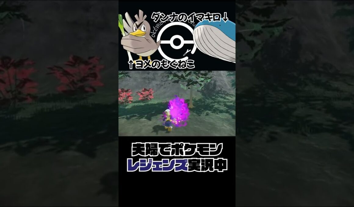 ポケモンレジェンズ ニューラにどうしてもアレをあげたい嫁👩 #Shorts