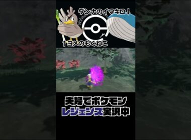 ポケモンレジェンズ ニューラにどうしてもアレをあげたい嫁👩 #Shorts