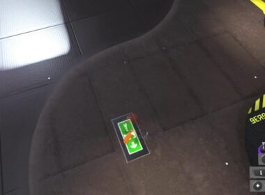 キャタピー応援プラベ観戦