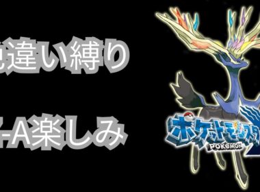 【ポケットモンスターX】ネタバレあり　色違い縛り　第4話引き続きヤヤコマとコフキムシ狙います【顔出ししたりしなかったり】 【ライブ配信】