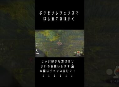 結局ビッパが大好きなんよな。【アルセウス実況切り抜き】#shorts