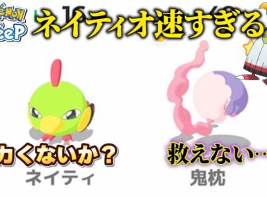 ネイティオお前…きのみタイプだったのか!?【ポケモンスリープ】