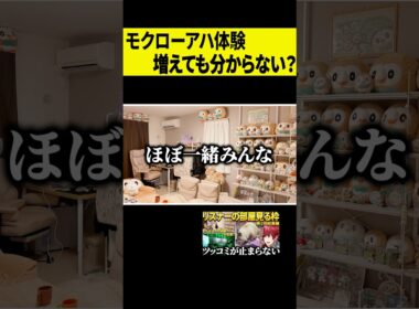 【アハ体験】モクローがいっぱいいる部屋に、モクロー１個増やしても分からない説 #shorts