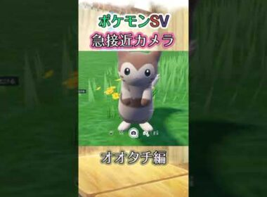 【ポケモンSV】オオタチが近づいてくるだけの動画 #ポケモン #ポケモンsv #オオタチ #shorts
