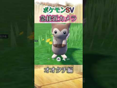 【ポケモンSV】オオタチが近づいてくるだけの動画 #ポケモン #ポケモンsv #オオタチ #shorts