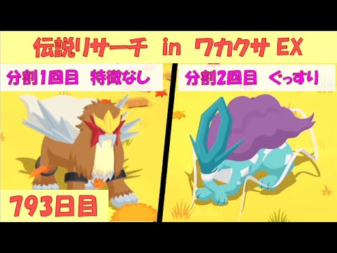 ポケスリ睡眠記録 2025/9/19(793日目)  ライコウ・エンテイ・スイクンリサーチ in ワカクサ本島 EX(12日目)【ポケモンスリープ】