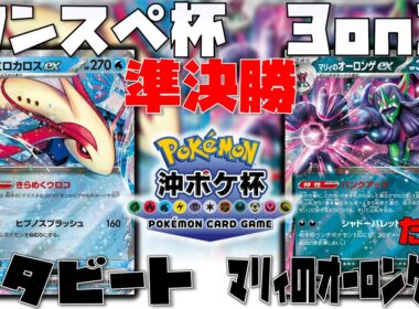 闘ポンに対抗する方法とは！？　ワンスペ杯3on3　準決勝　メタビート　vs　マリィのオーロンゲex