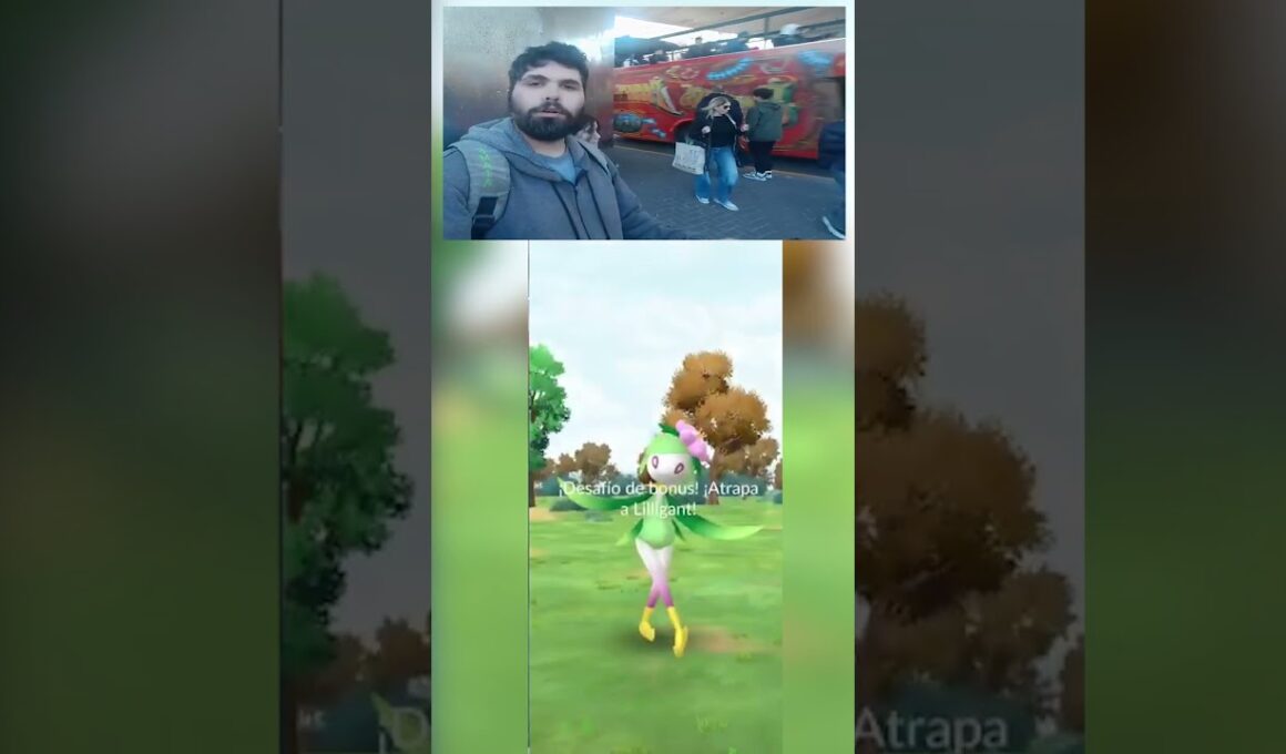 SEGUIDILLA DE LILLIGANT HISUI