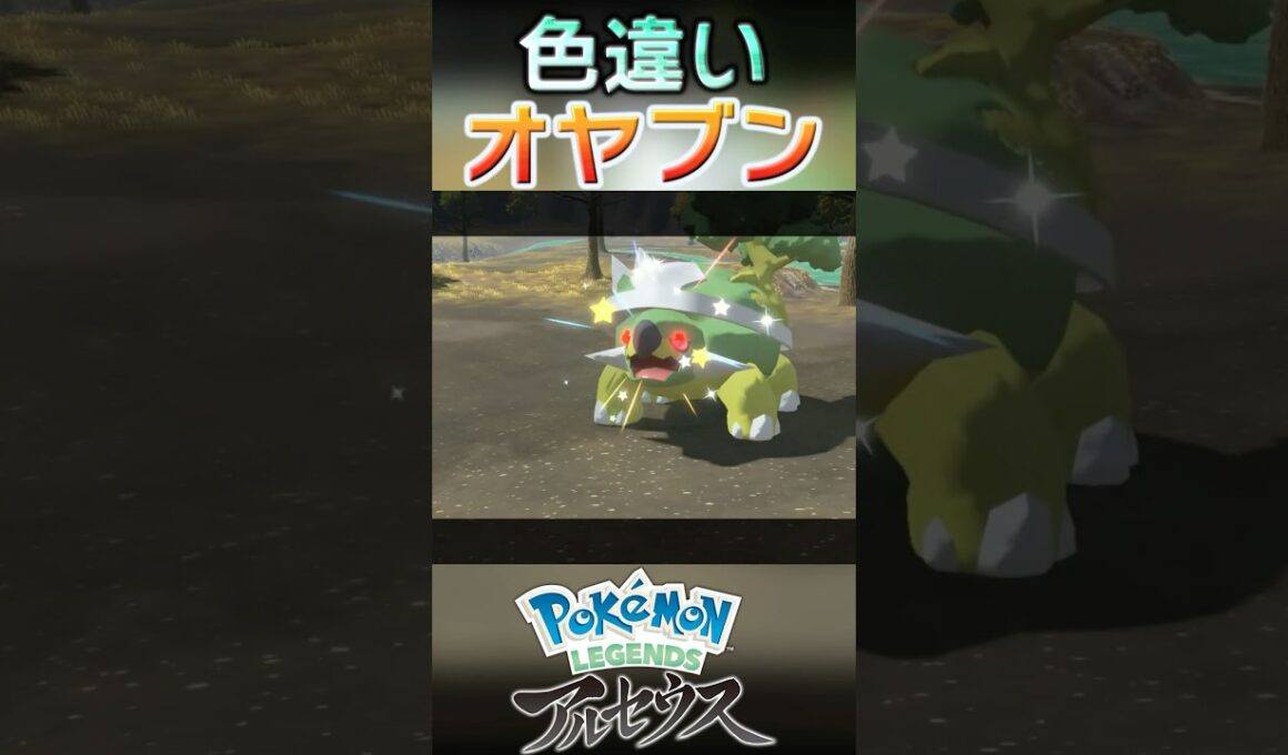 戦闘！色違いオヤブンドダイトス